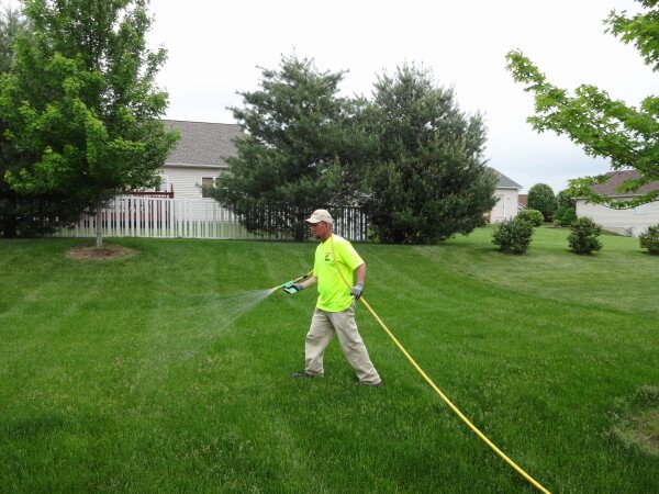 The Essential Guide to Lawn Fertilization in Calgary