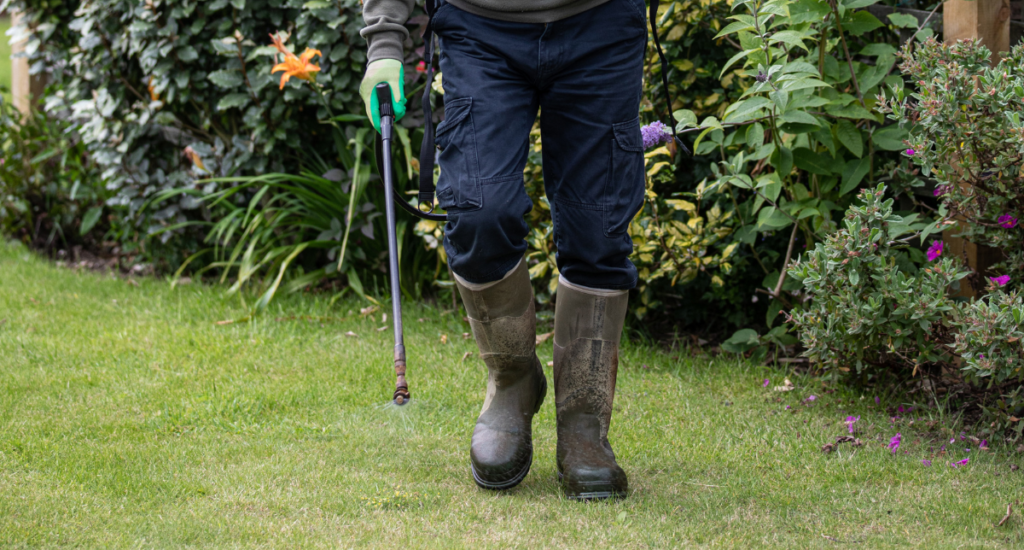 Maxigreen’s Guide to Choosing the Right Liquid Fertilizer for Your Lawn: Nourish, Repair, and Transform