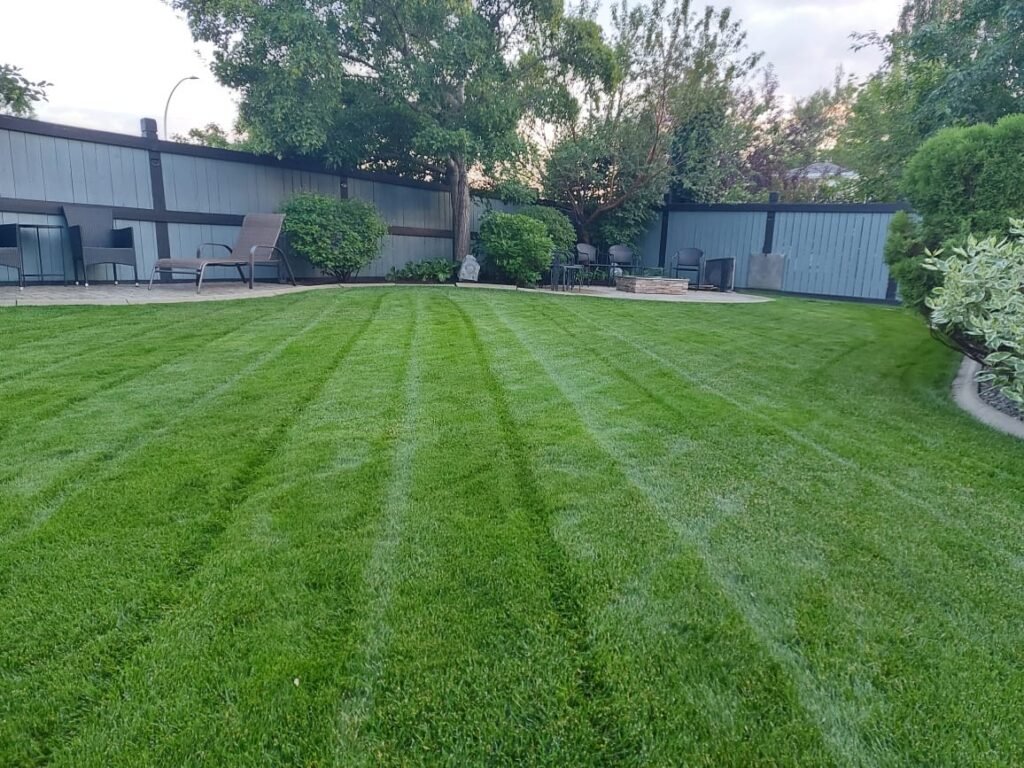 Maxigreen’s Expert Advice for Maintaining a Healthy Lawn with Liquid Fertilizer in Edmonton, Red Deer, and Calgary